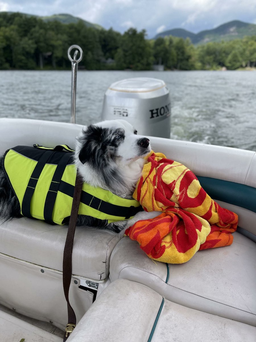 🐾🚤 Happy National Dog Day! 🚤🐾

Let’s make sure every adventure is safe and tail-wagging fun!

✅ Always use a properly fitted pet life jacket
✅ Provide plenty of fresh water &amp; shade
✅ Keep them secure on board
✅ Never leave them unattended near the water

#NationalDogDay