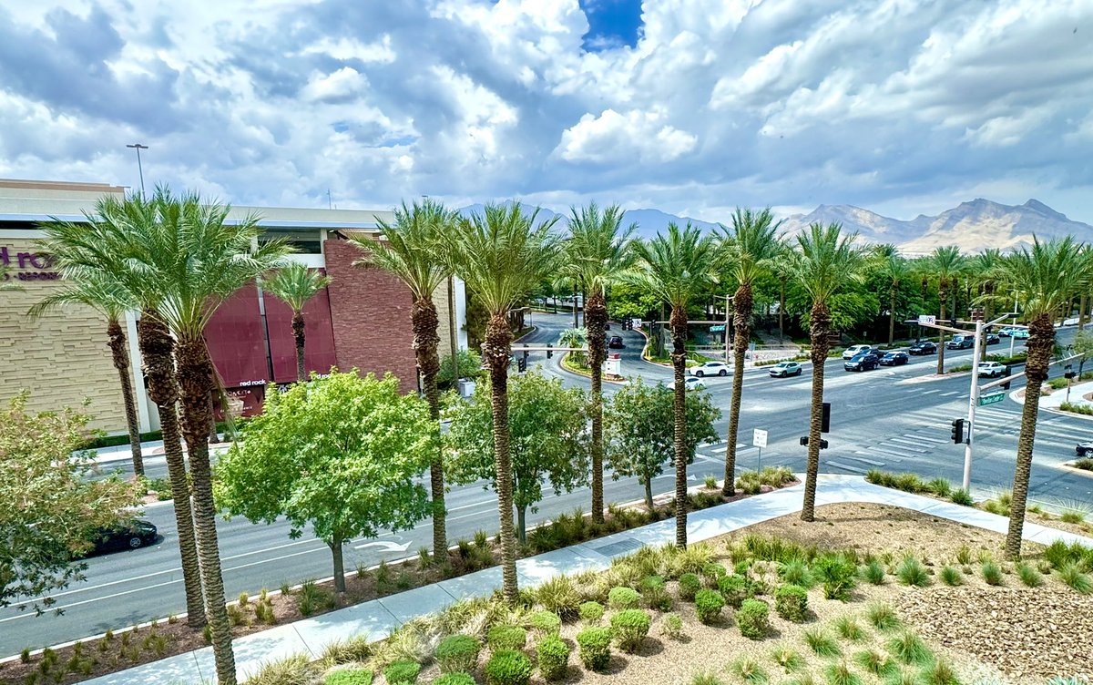 View from <a href="/XandeumNetwork/">Xandeum</a> HQ today