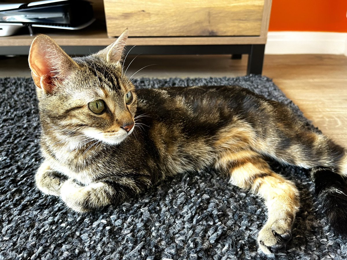 SuperHorrorBro tweet media