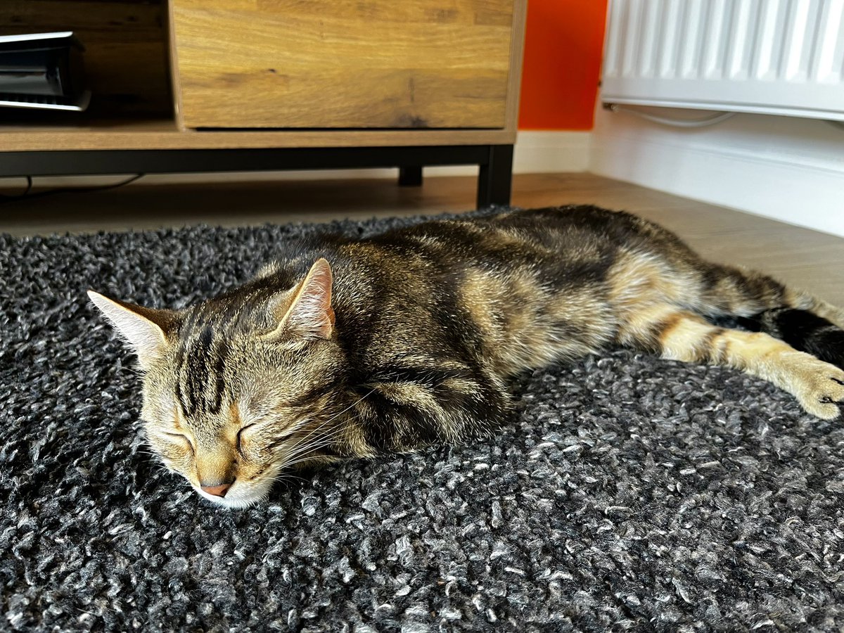 SuperHorrorBro tweet media