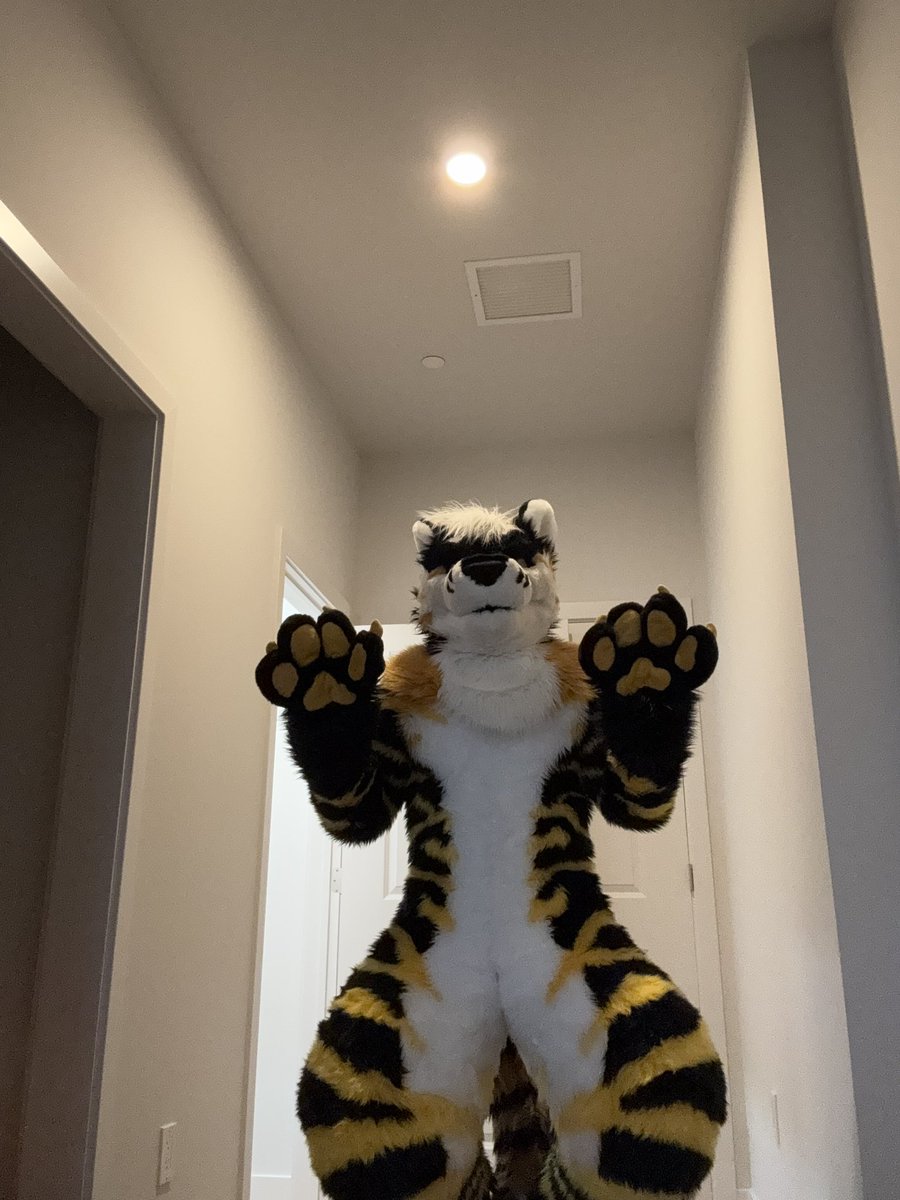 I FINALLY GOT MY FULLSUIT!!! IM FULL TIGER!!!! Thank you <a href="/Dogwoolowner/">DogWool</a>