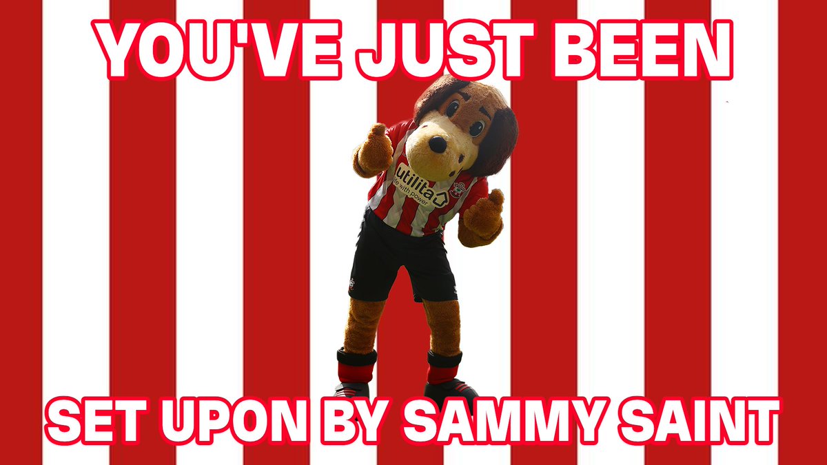 Southampton FC (@southamptonfc) on Twitter photo 