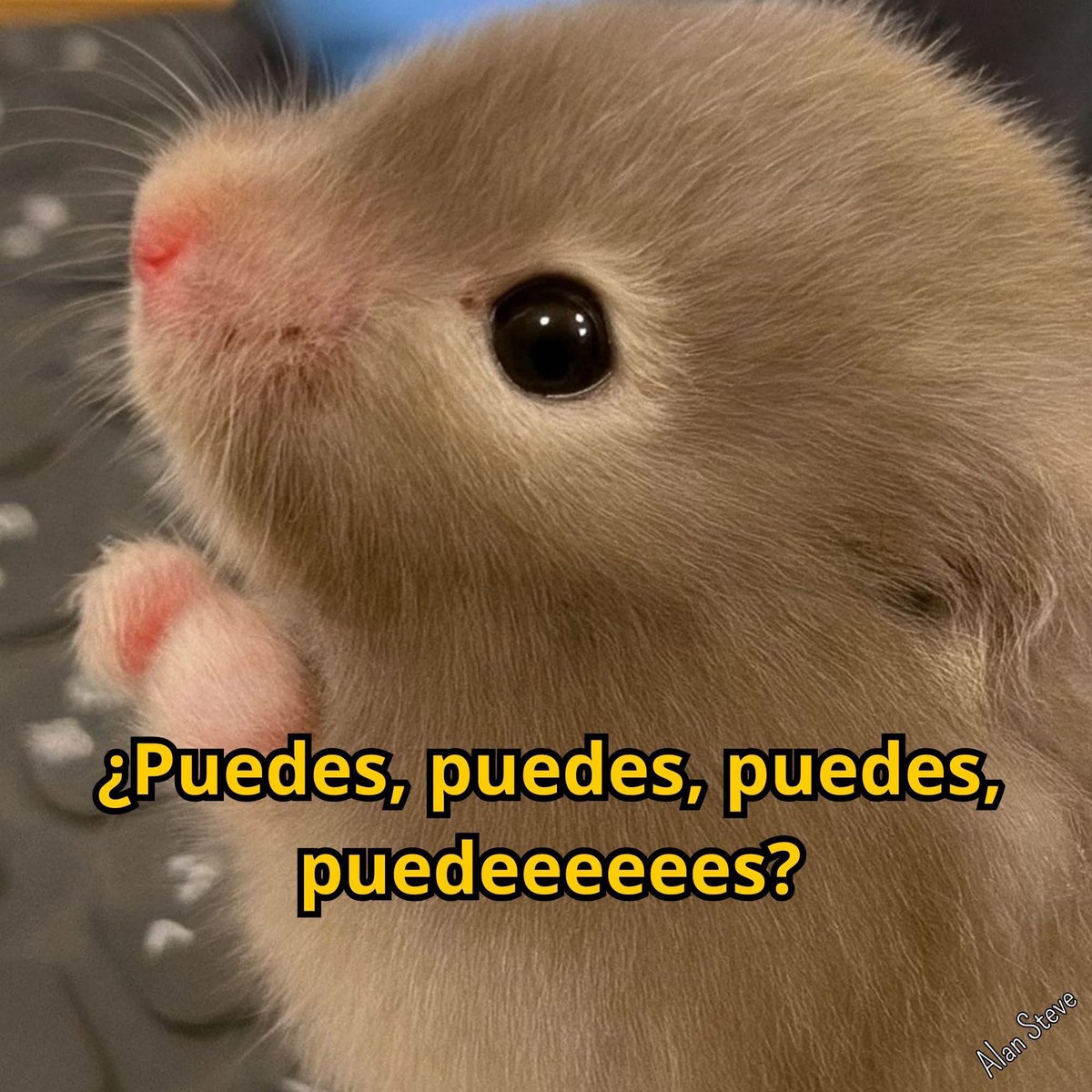 Cuando pides un cubre