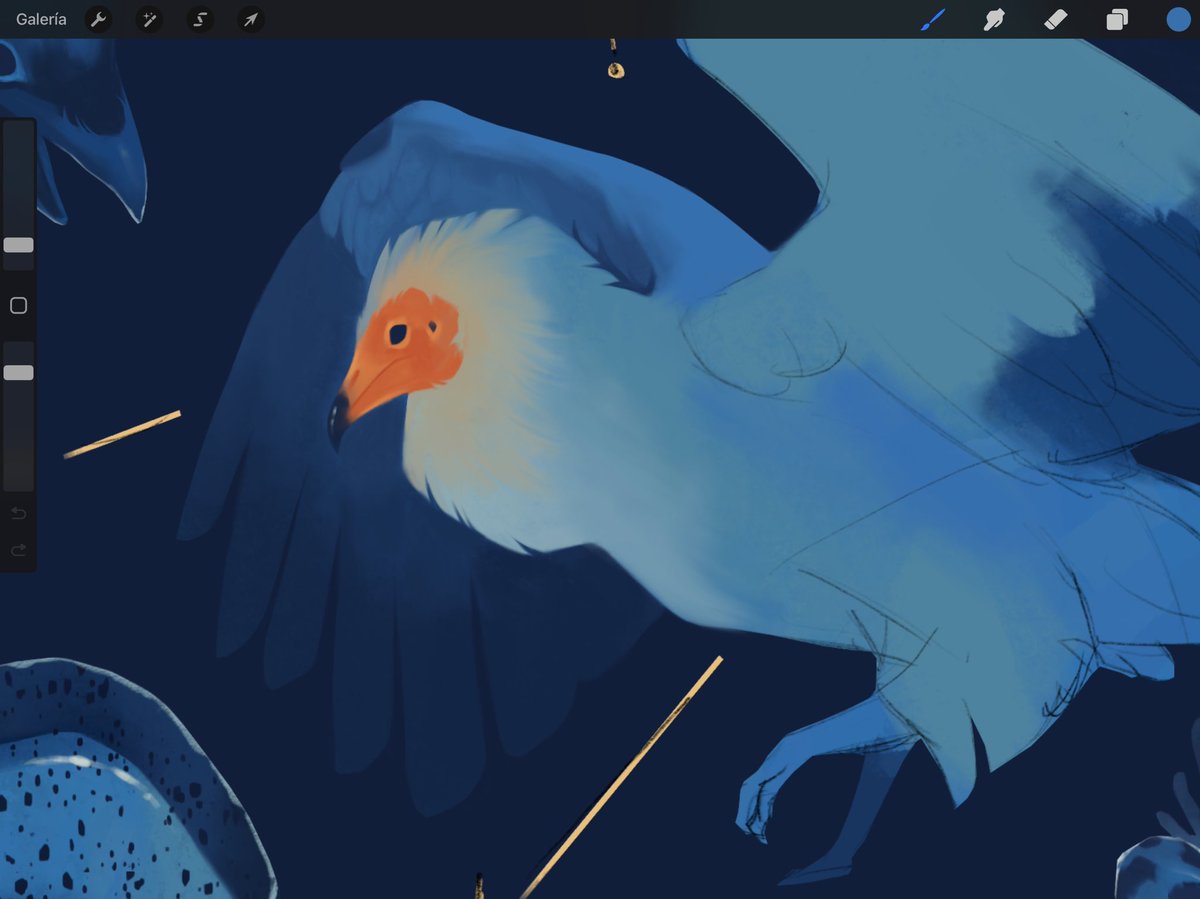 Painting the egyptian vulture tonight 🌙