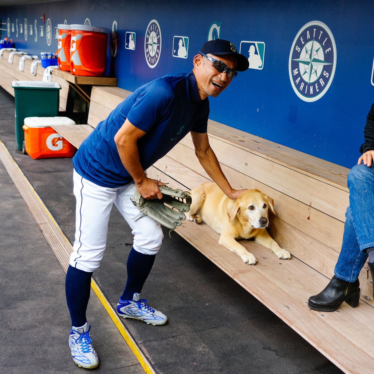 Tucker the Mariners Pup tweet media