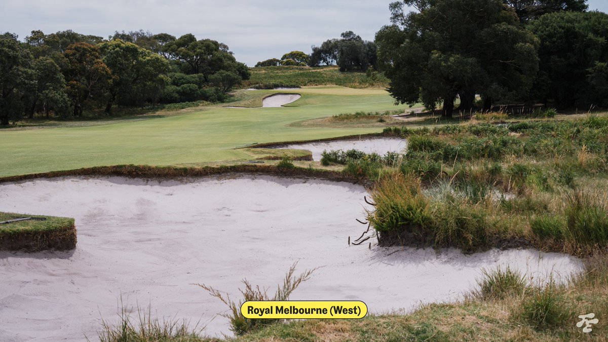 Fried Egg Golf tweet media