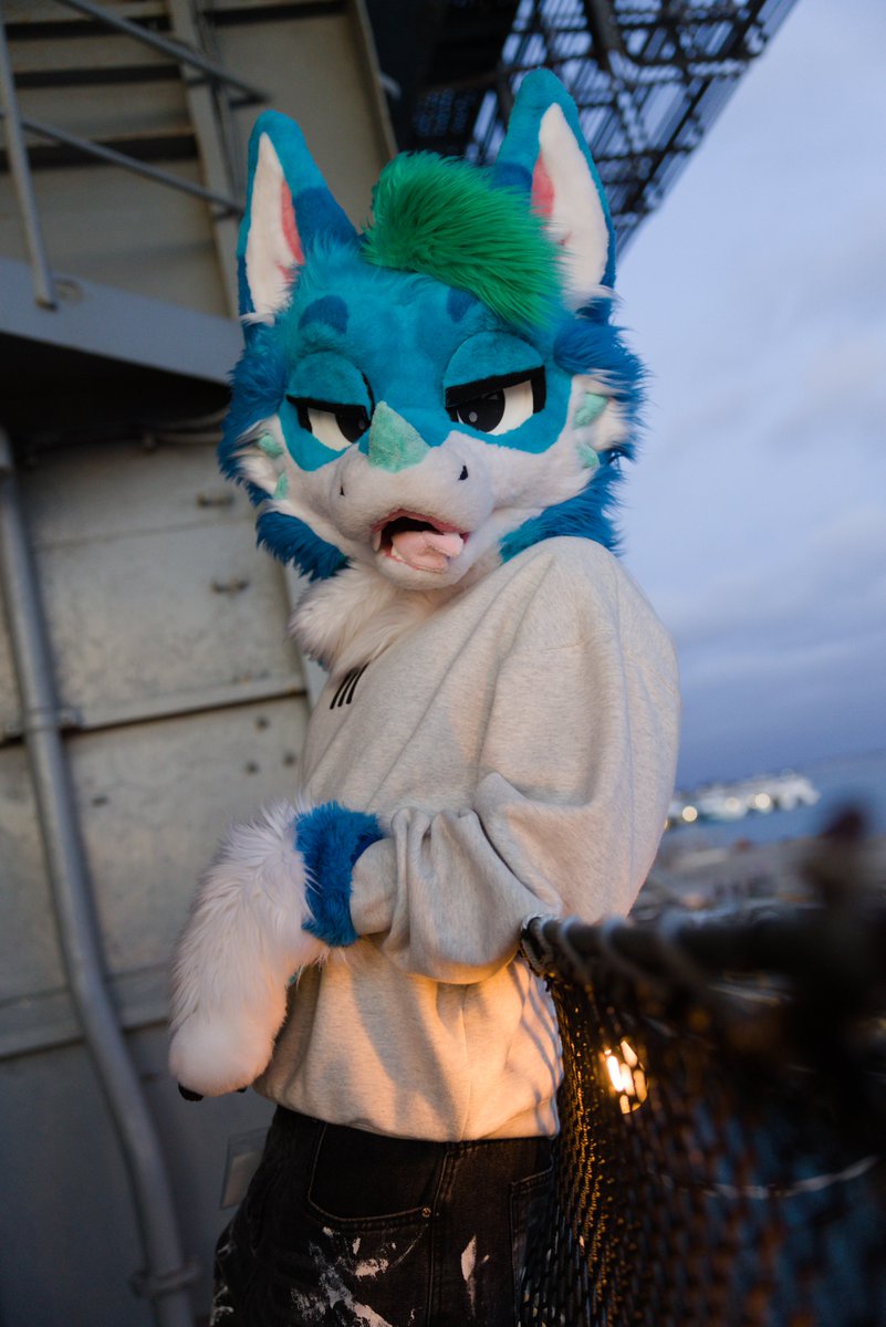 Tecario 🔜 NFC tweet media