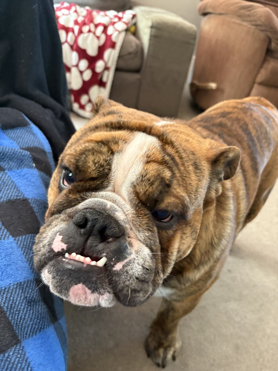 Jonathan Moser tweet media