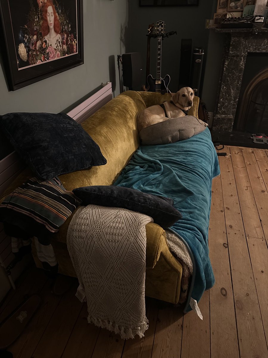 Mika really loves having her bed on top of the sofa 😂💛