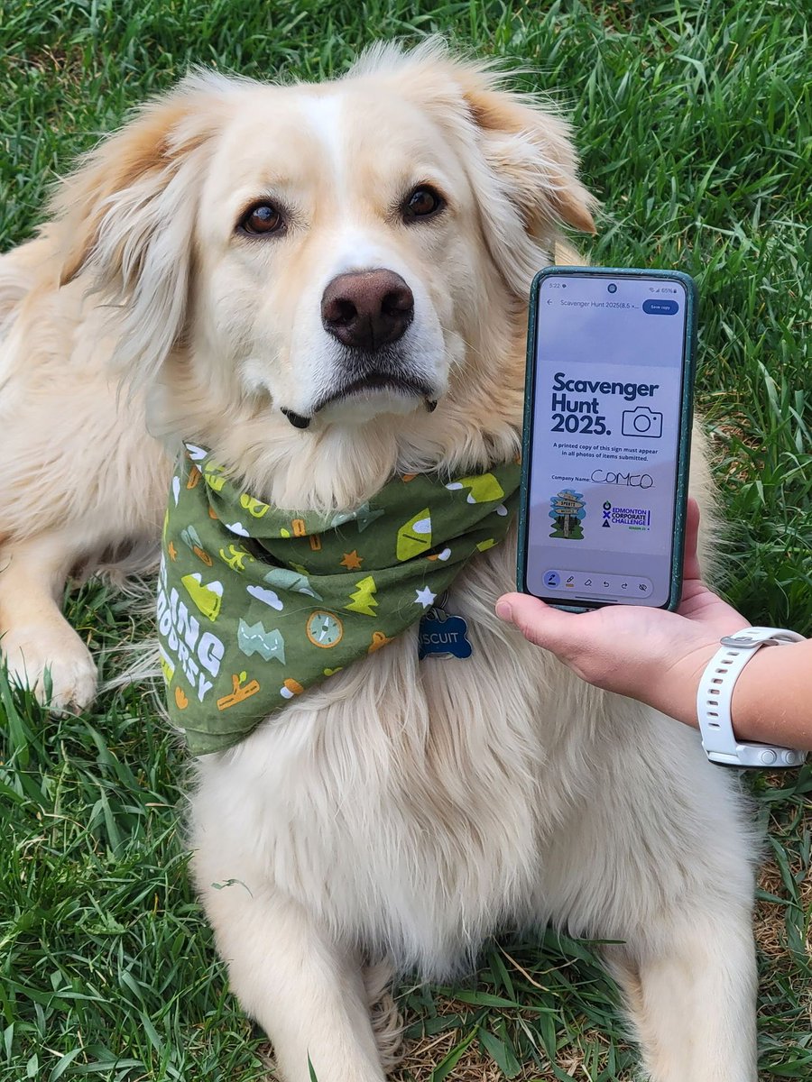 Edmonton Corporate Challenge tweet media