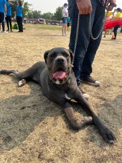 Edmonton Corporate Challenge tweet media