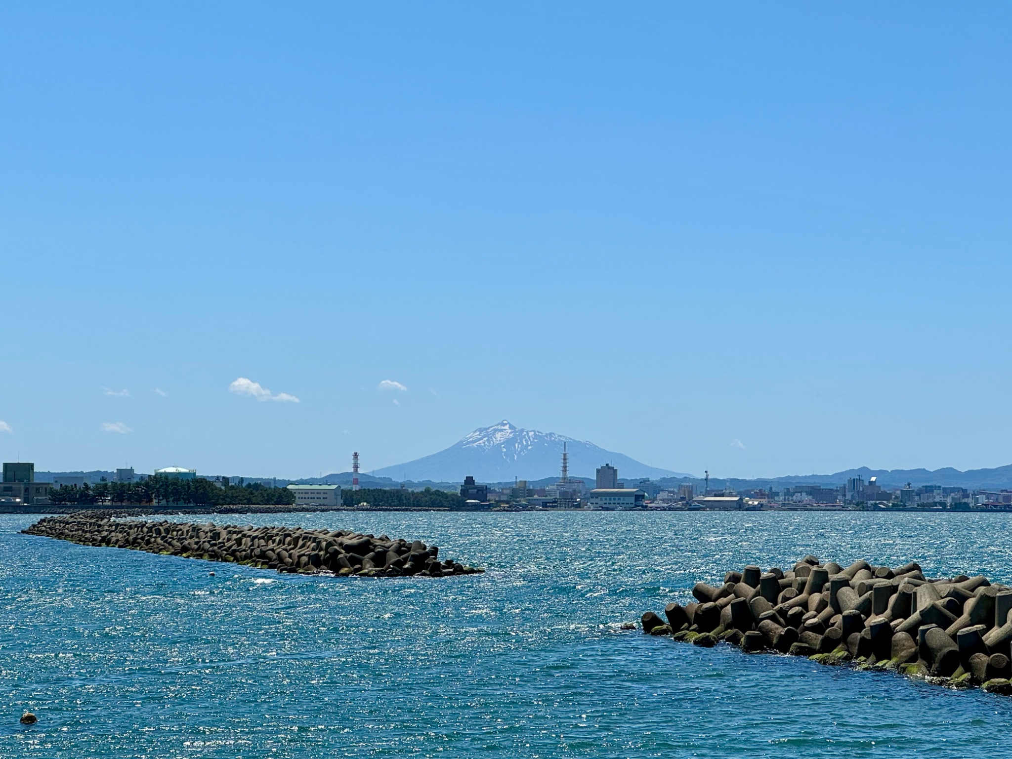 エミリー　(代理)青森県岩木山採取　あけび蔓　150cm～　3kg 注)青森県岩木山採取 あけび蔓 150cm～ 3kg(依頼品) 2