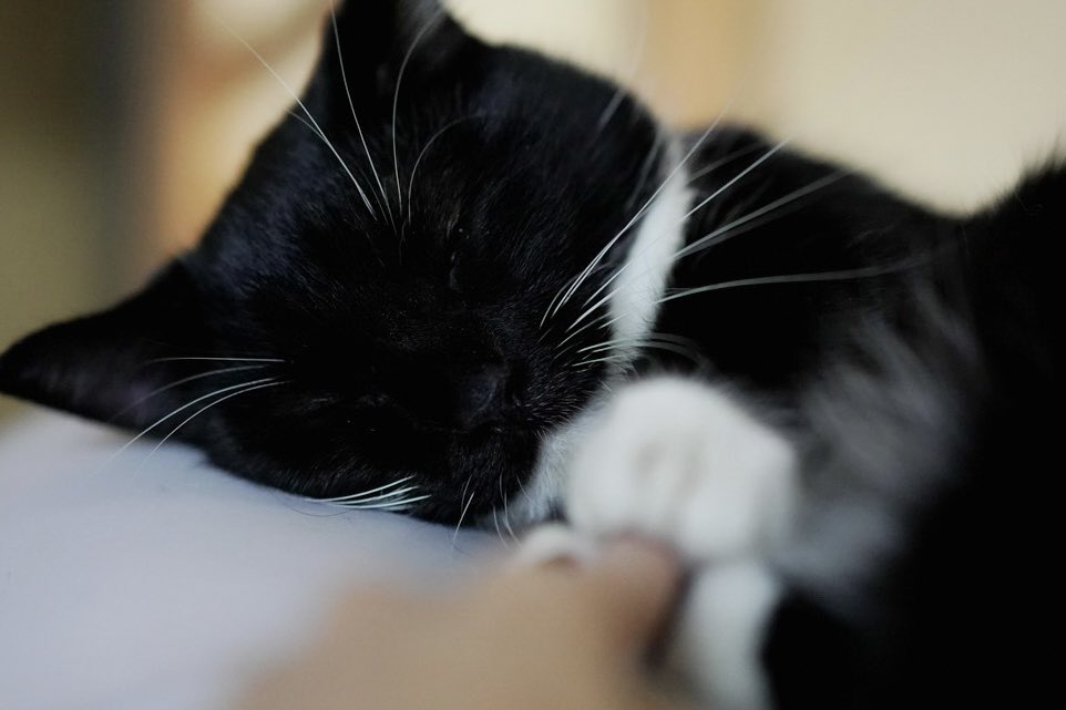 Uni’s holding my finger until he falls asleep