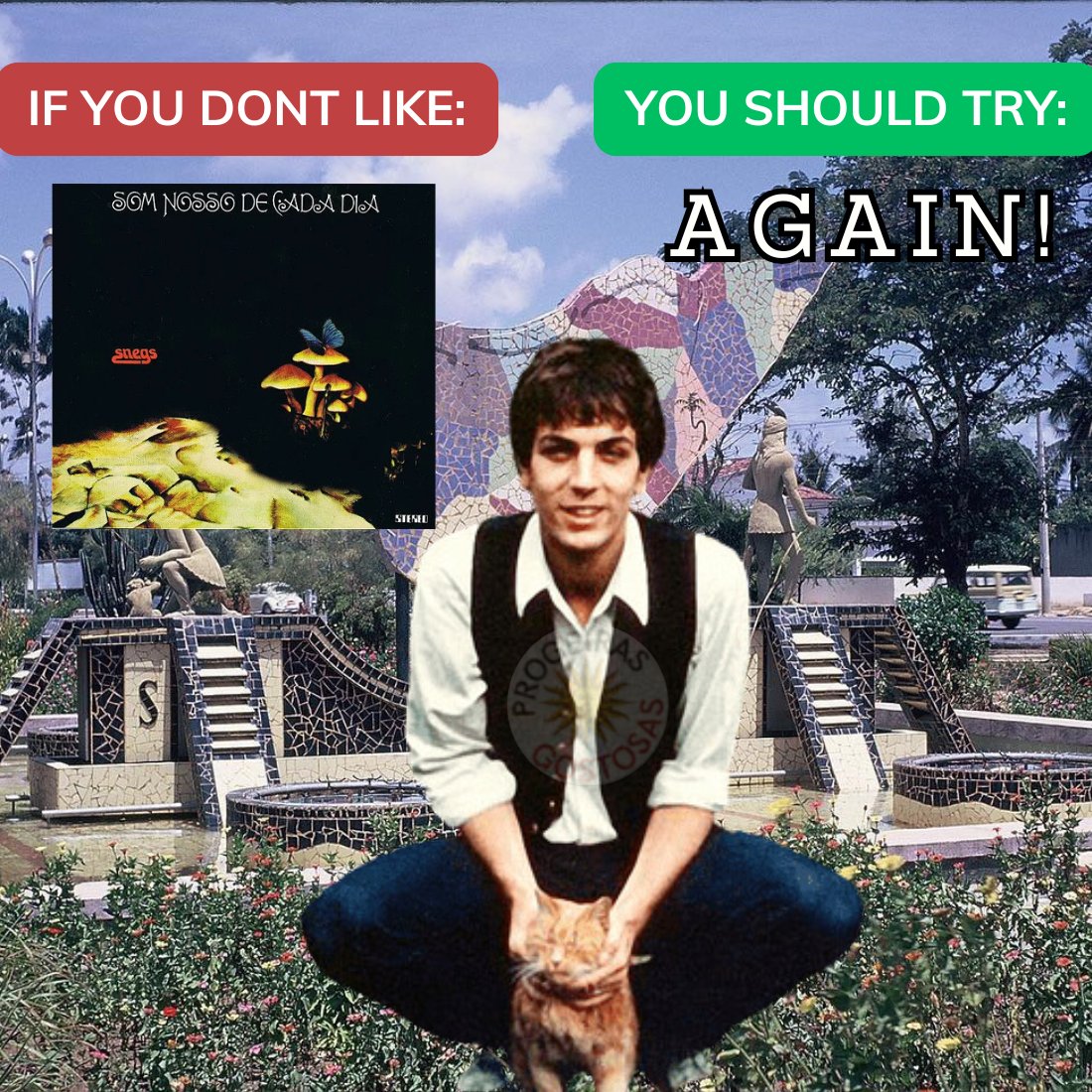 Progeiras Gostosas (@proggostosas) on Twitter photo 