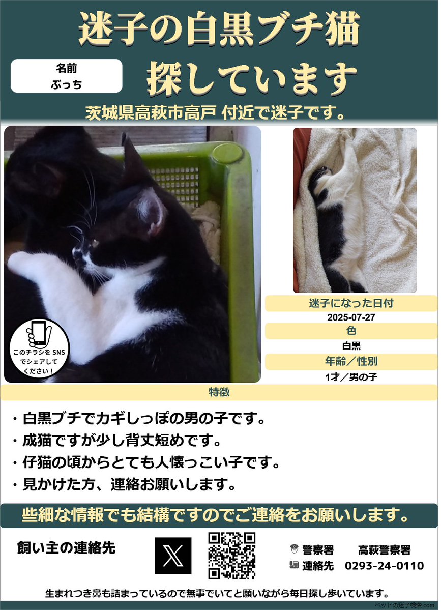 ねこ 猫砂メガセット】セリームバイオサンド グリーン(7.5kg) 20袋