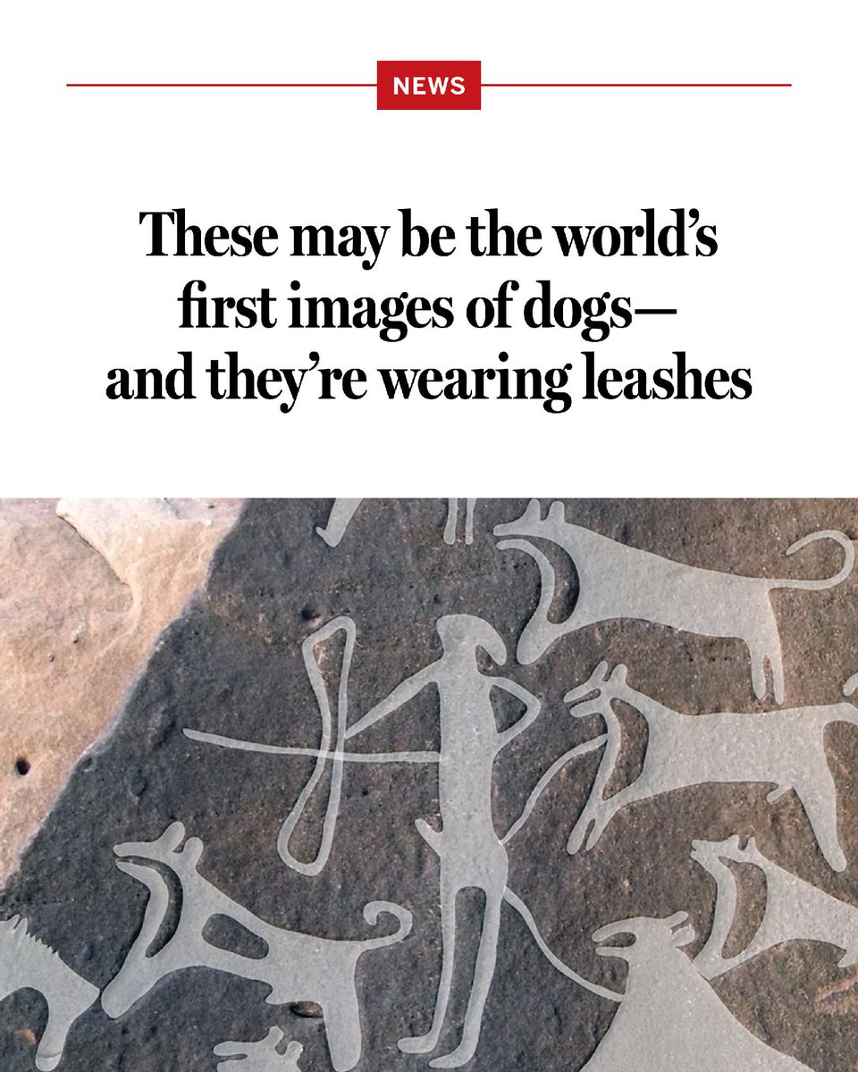 Science Magazine (@sciencemagazine) on Twitter photo Dogs and humans have been together for a long time.
Learn more on #InternationalDogDay: scim.ag/43Mne4o <a href="/NewsfromScience/">News from Science</a> Dogs and humans have been together for a long time.
Learn more on #InternationalDogDay: scim.ag/43Mne4o <a href="/NewsfromScience/">News from Science</a>