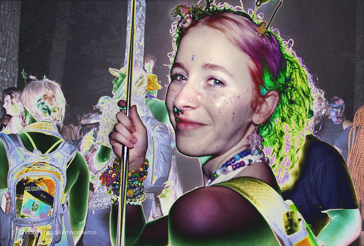 I am Bonnaroo tweet media