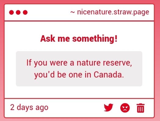 What is that supposed to mean?