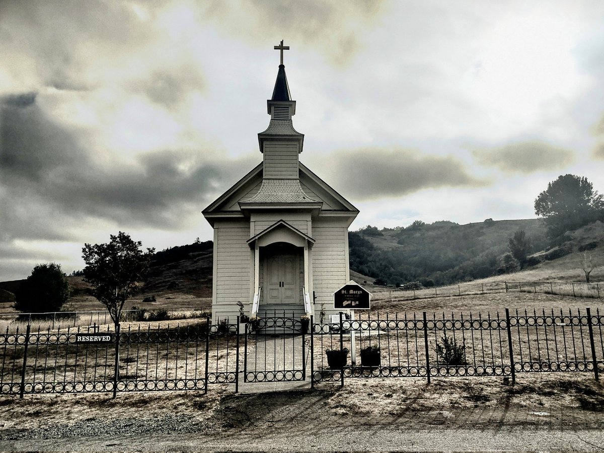 Took this pic earlier.....