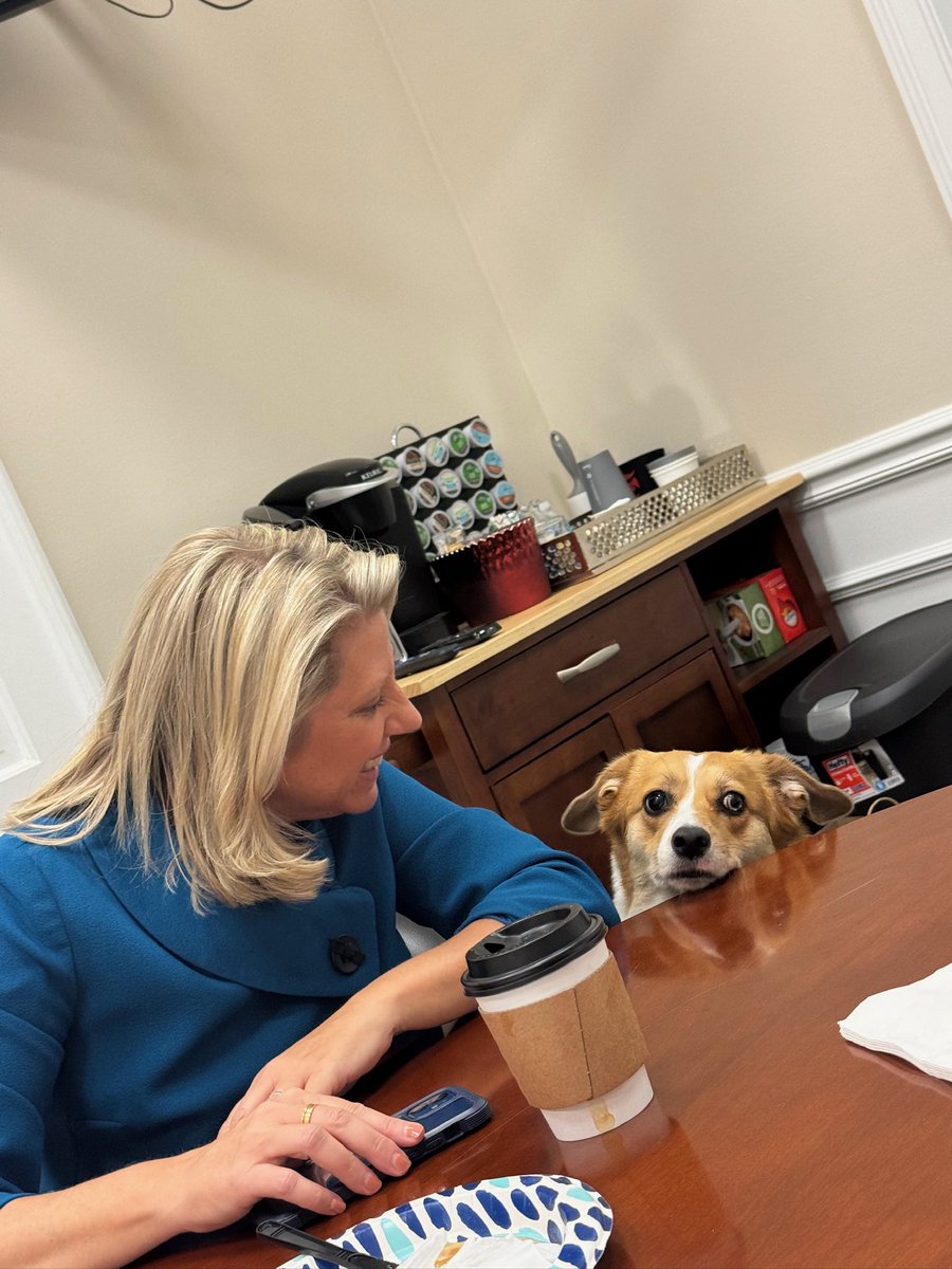 Sammi, RSA's Chief Treat Officer tweet media