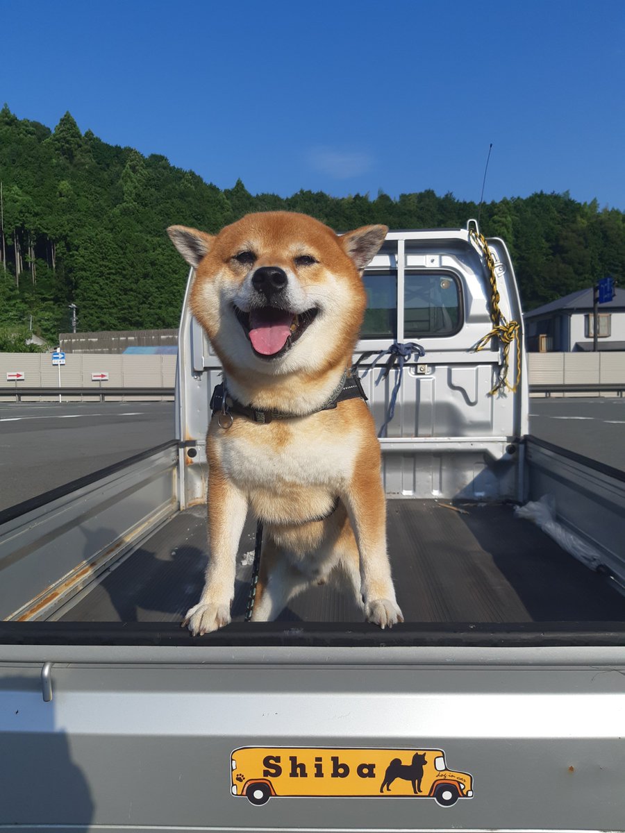 愛車のシバベンツ🚙に　新しいステッカーを貼りました‼️