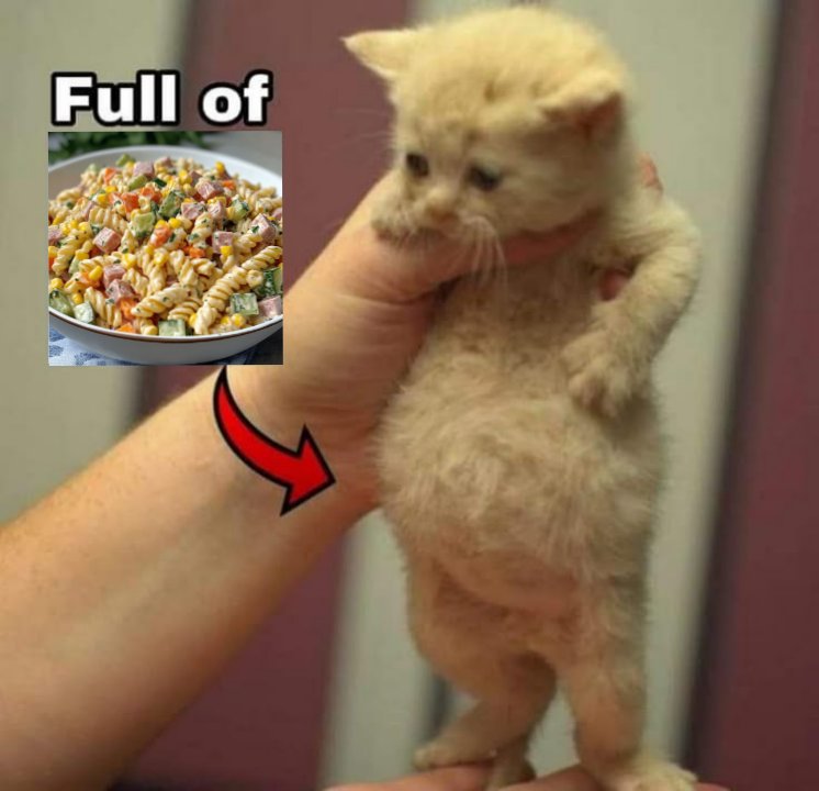 𓂃˖˳·˖ ִֶָ ⋆𝓫𝓮𝓴𝓪𝓪⋆ ִֶָ˖·˳˖𓂃 ִֶָ (@b3k4thh) on Twitter photo 