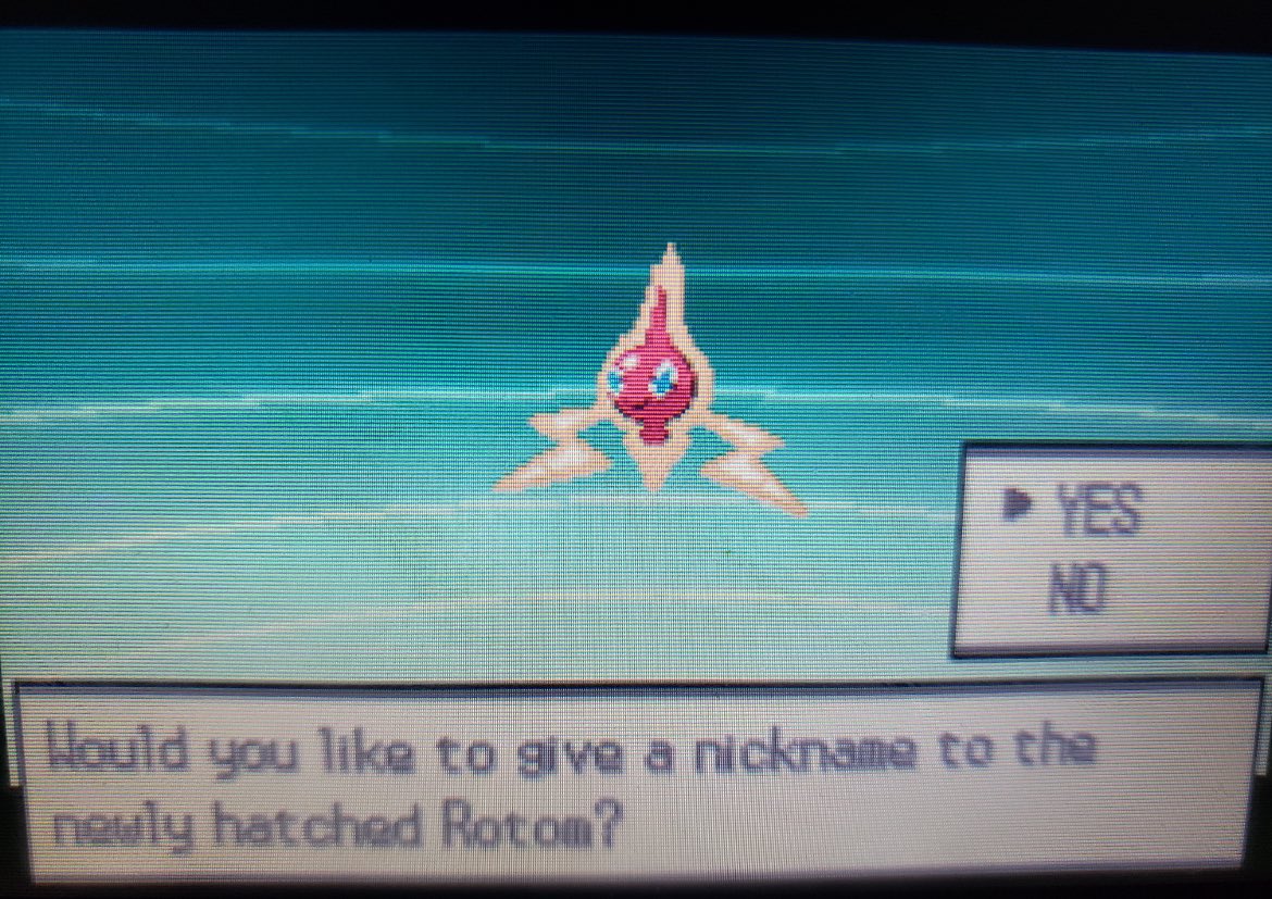 SHINY RANDOM EGG ROTOM in W2 at FULL ODDS!! I needed to replace my repel trick rotom from the pumpkaboo hunt due to accidentally saving after leveling it up and.. omg! ⚡️👻✨