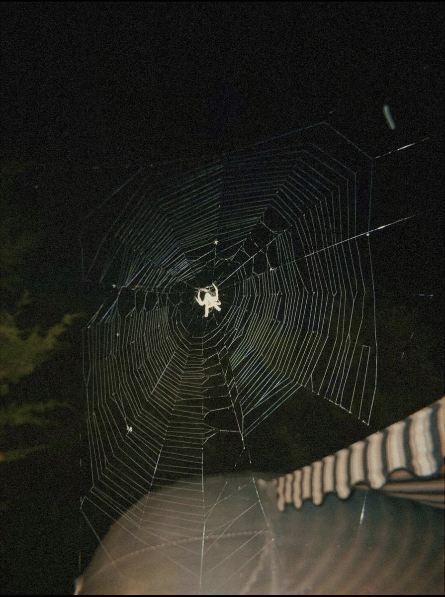 dark everything (@drkevrythng) on Twitter photo 