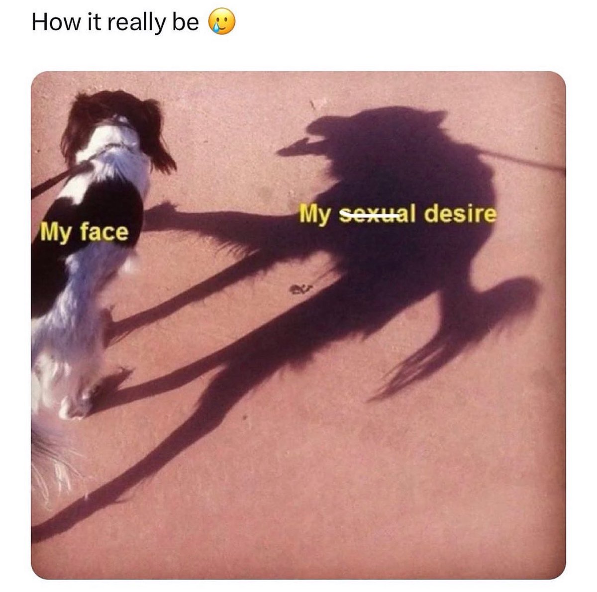 kinkytasks's tweet image. 