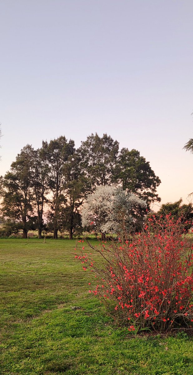 Perdón pero esta hora es hermosa