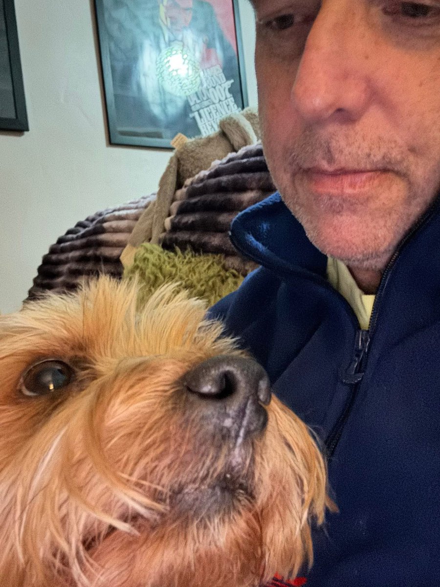 Wrth bod hi'n National Dog Day, dyma lluniau o'r cŵn sydd wedi bod yn rhan mawr o fy mywyd, Nip, Greg a Jac❤️❤️❤️