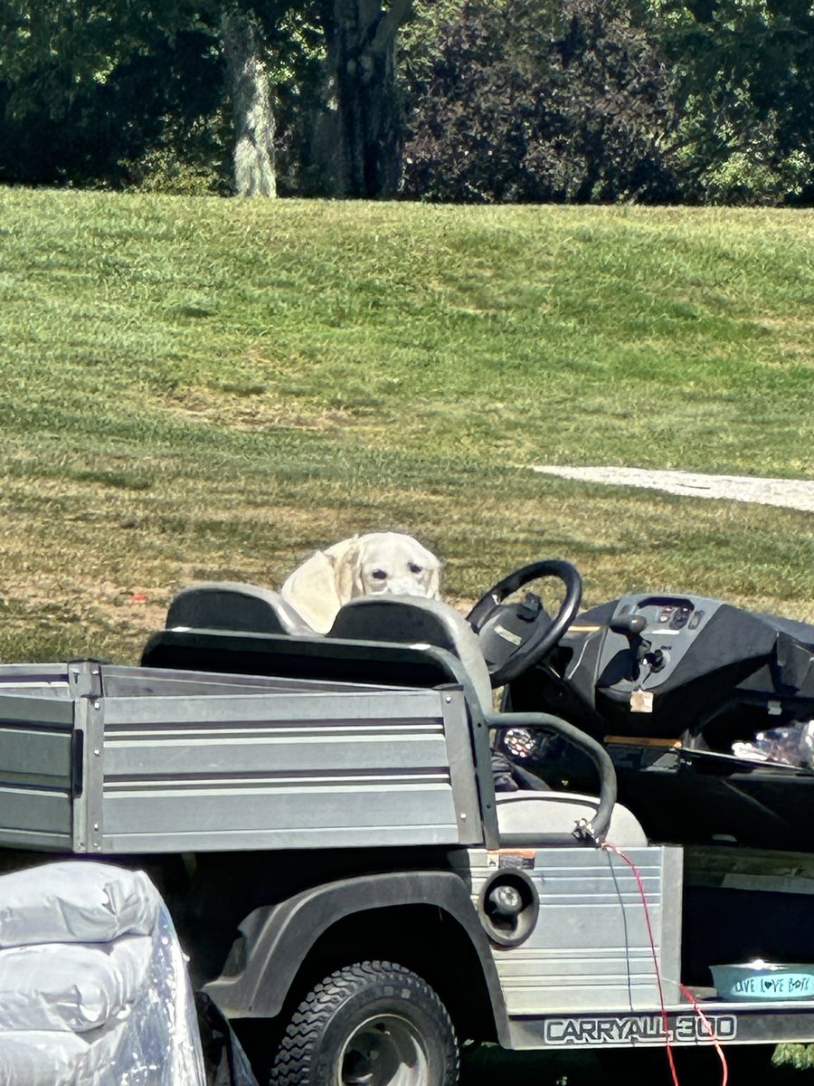 Colonial Turf tweet media