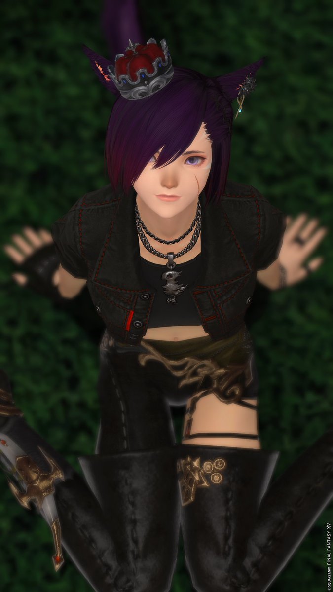 ɢᴏᴏᴅ ᴍᴏʀɴɪɴɢ

アライアンス行かねば…

#FF14 #FF14SS #ミコッテ #おはミコ