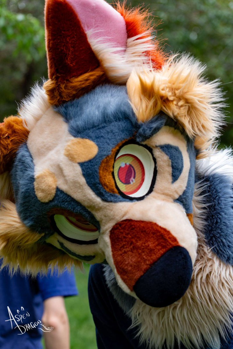 Obligatory how to find me at #denfur2025 

Idk specifically where I'll be but I'll be around