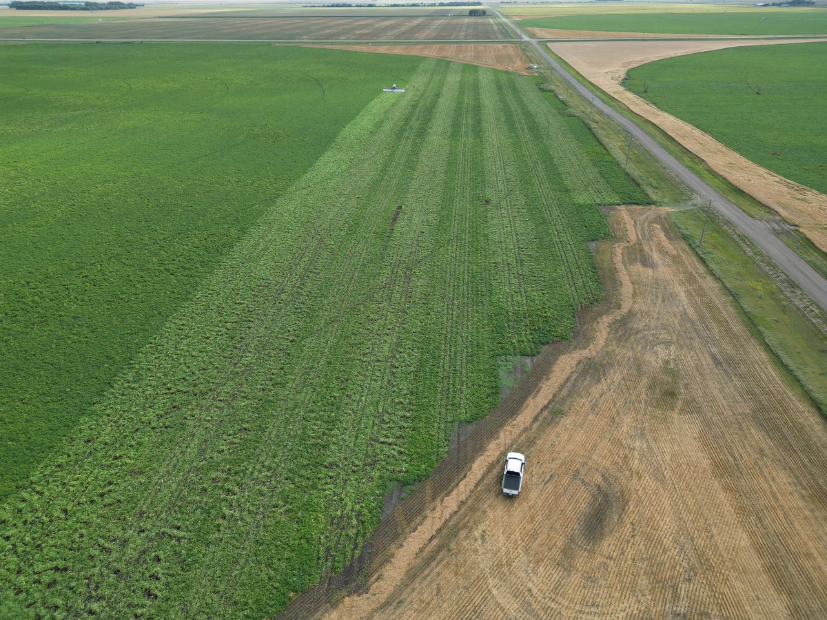 Jefferies Seeds tweet media