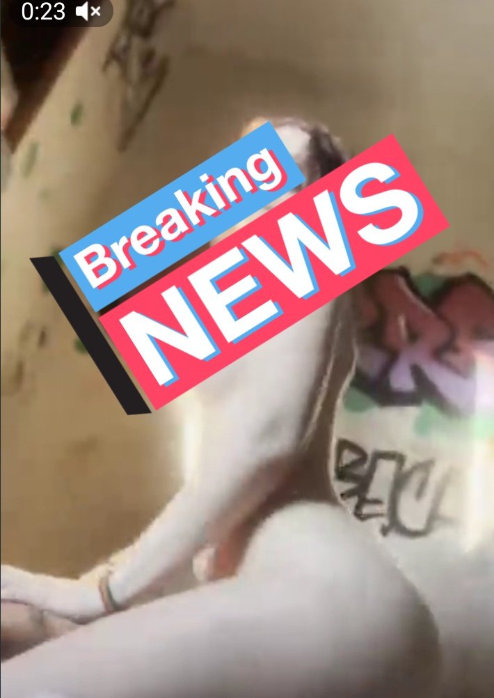 VazadosOnline0's tweet photo. Cibelly Ferreira, Professora mais gostosa da rede vizinha acaba de soltar um vídeo 🔞 novo trans*ndo com um novinho em um lugar duvidoso. 👀☠️

Veja nos comentários 💬⬇️ https://t.co/F80adTLIF1