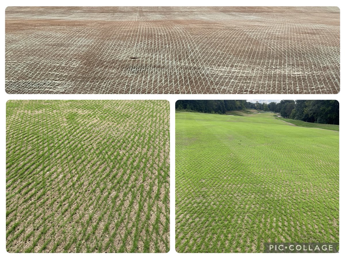 Jeffrey Koch tweet media