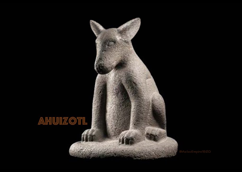 Who’s a good water dog?Who’s a good guardian of lakes and protects fish? Who snatches people from the water's edge and sinks boats? You do, Ahuizotl! 
#InternationalDogDay