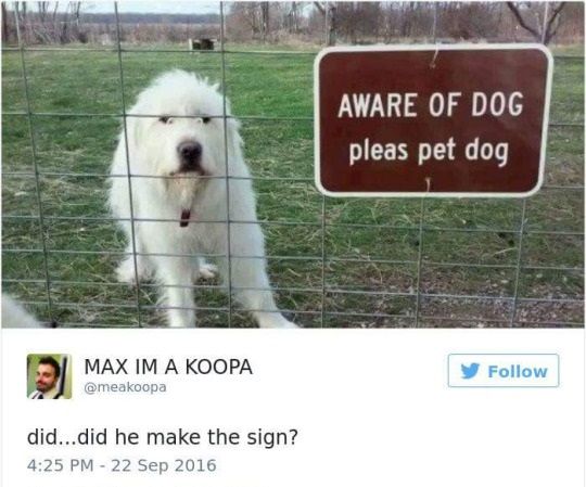 WholesomeMemes (@wholesomememe) on Twitter photo 