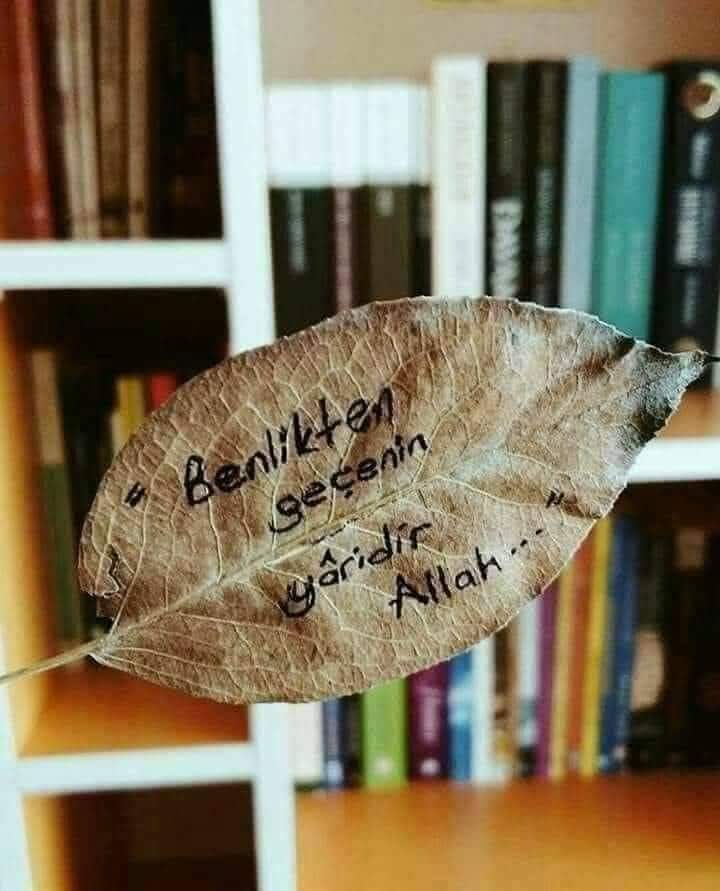 Sevgilime kul oldum,

Güzelliği seçeli.

Varlıkta yoksul oldum,

Benliğimden geçeli…

Vücut ruha ağ gibi;

Bir düğümlü bağ gibi

Muhabbet menba gibi;

Kevserinden içeli…

Necip Fazıl Kısakürek...✍️