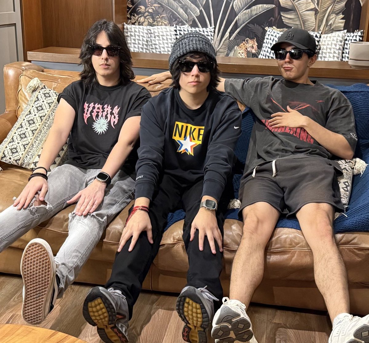 animal                                      real life