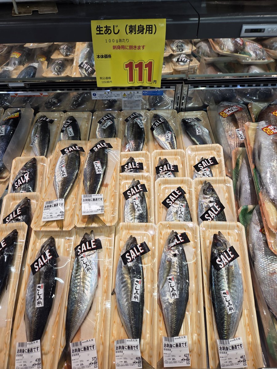 シマエビ(*｣´□`)｣
鯵(*｣´□`)｣
カツオ(*｣´□`)｣