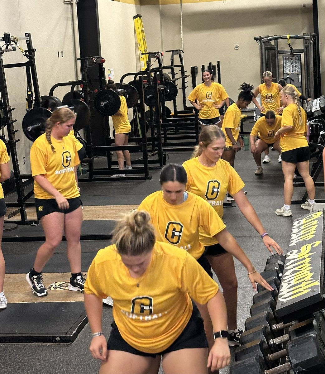 Cameron University Softball tweet media