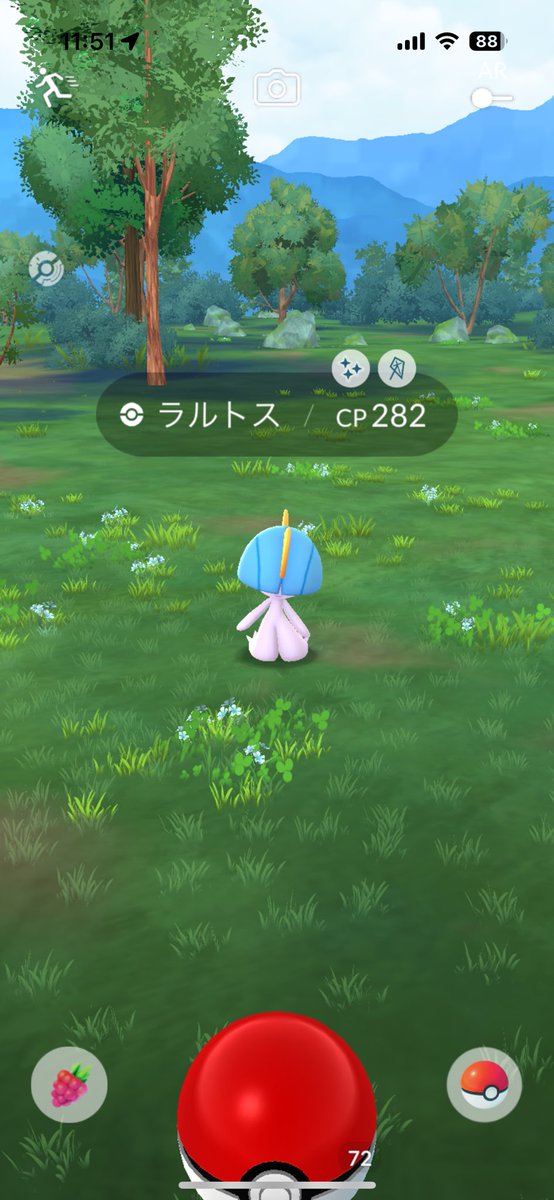 サナ作れってこと？