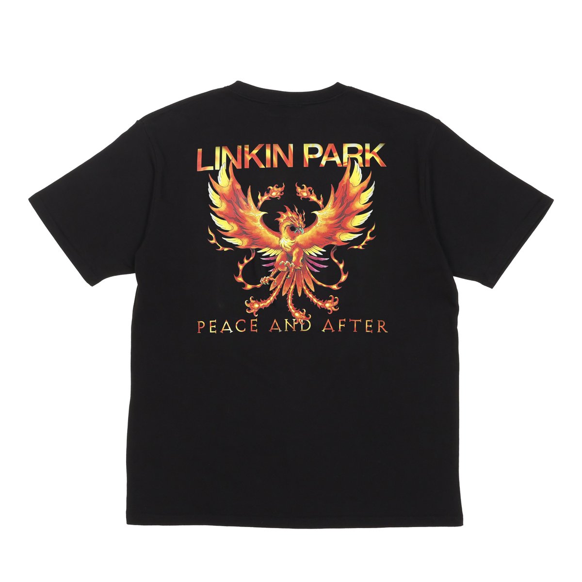 リンキン・パーク LINKIN PARK 2011 ピック LINKIN PARK Guitar Pick Chester Bennington A Thousand Suns