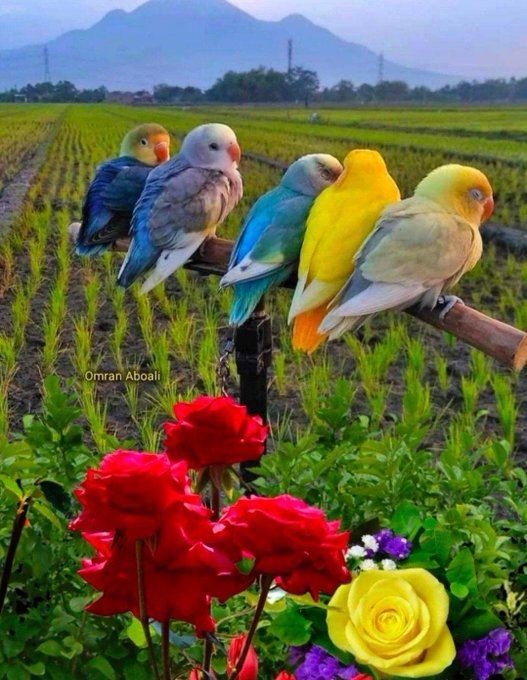 جنات ( مقيدة لا تلغي ) tweet media