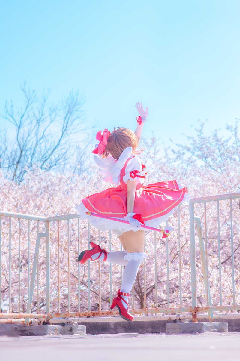 わたあめ＠ on X: 