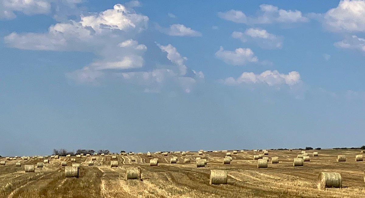 Dylan Biggs tweet media