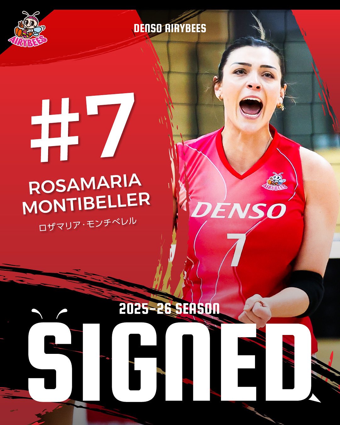 Mikasa MVA30 バレーボール DENSO AIRY BEES サイン入 Mikasa