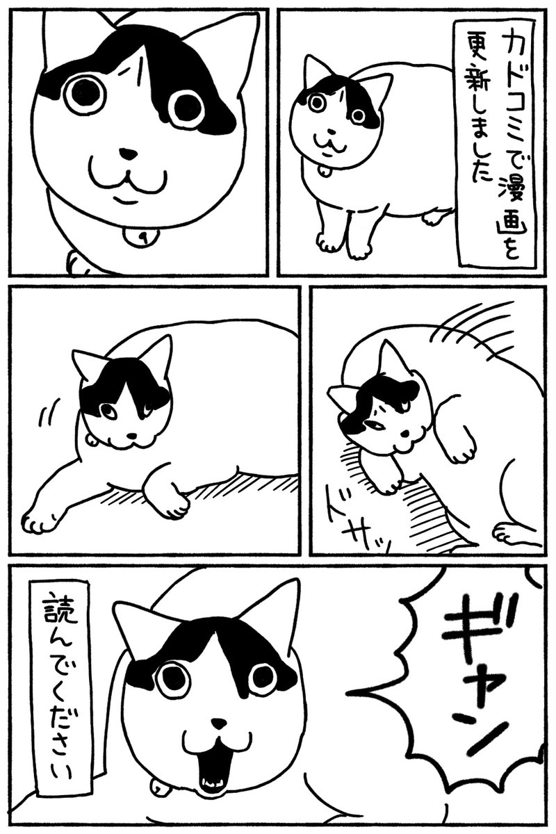 ﾐｰﾝﾐﾝﾐﾝﾐﾝﾐﾝﾐｰﾝ (@iw97fpw61w8) / X